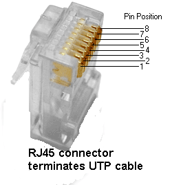 rj45 loopback plug